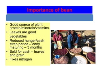 Getting back to basics [compatibility mode]