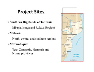 Getting back to basics [compatibility mode]