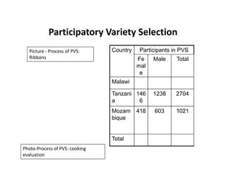 Getting back to basics [compatibility mode]