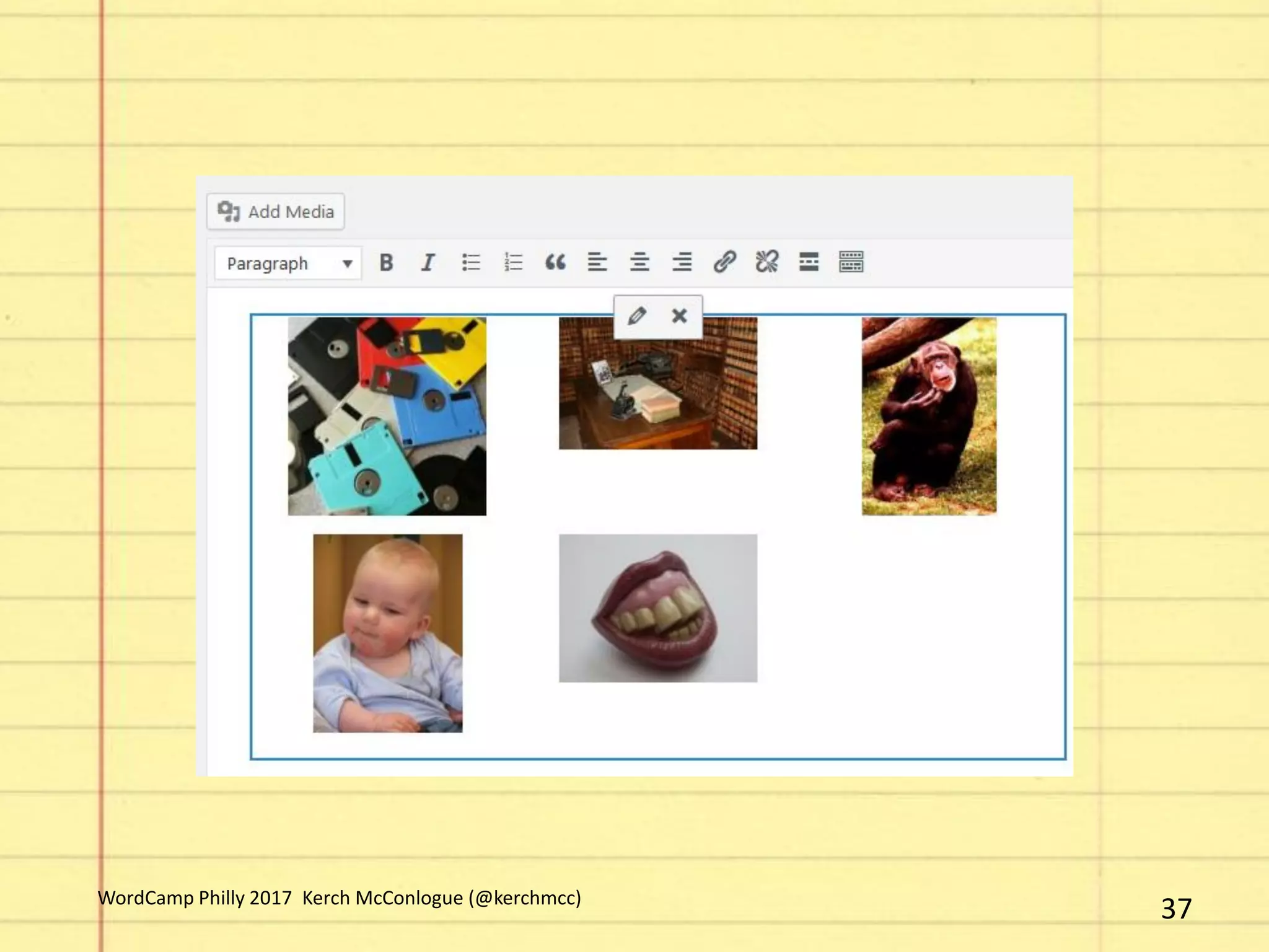 37WordCamp Philly 2017 Kerch McConlogue (@kerchmcc)
 