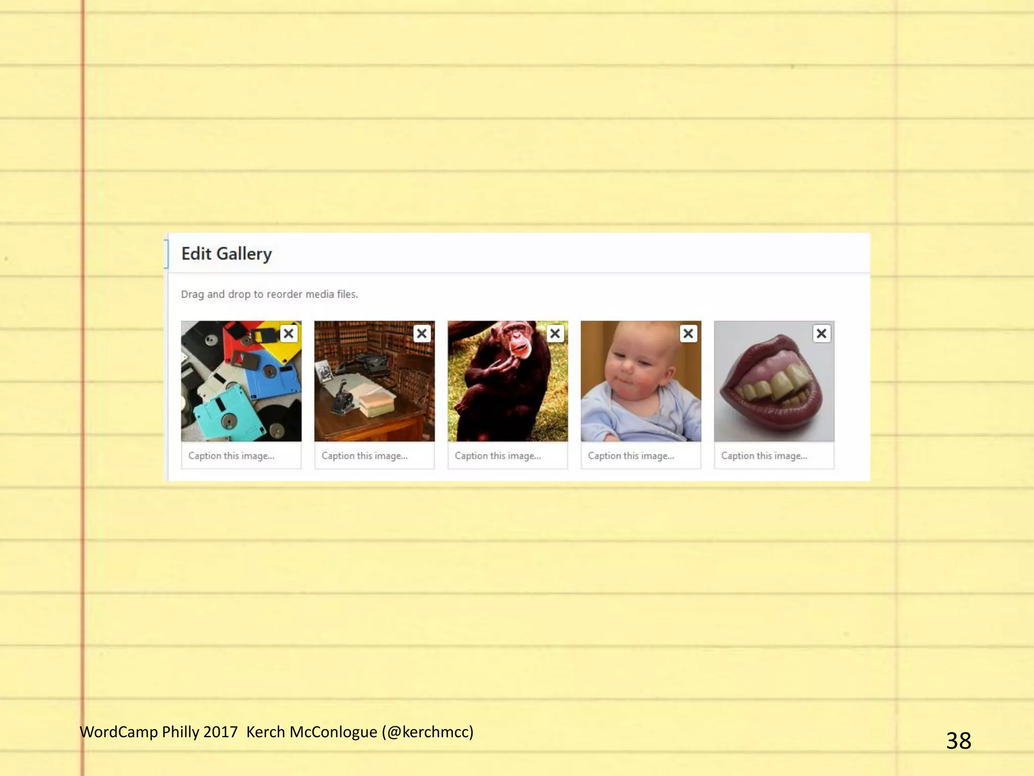 38WordCamp Philly 2017 Kerch McConlogue (@kerchmcc)
 