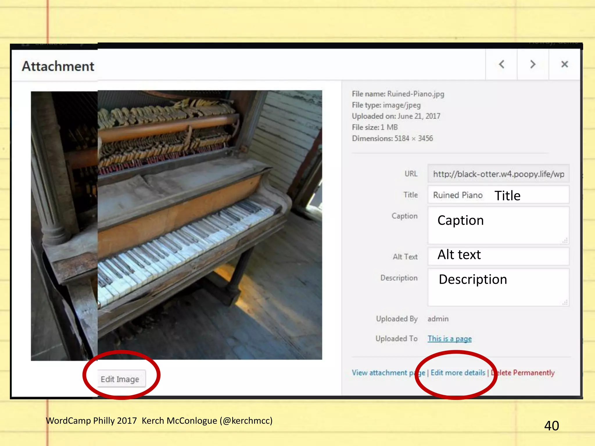 Title
Caption
Alt text
Description
40WordCamp Philly 2017 Kerch McConlogue (@kerchmcc)
 