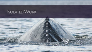 ISOLATED WORK
Untitled; Minette Layne, cbn
 