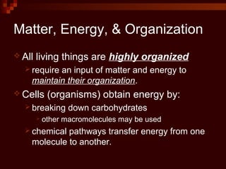 Matter, Energy, & Organization
 All living things are highly organized
 require an input of matter and energy to
maintain their organization.
 Cells (organisms) obtain energy by:
 breaking down carbohydrates
 other macromolecules may be used
 chemical pathways transfer energy from one
molecule to another.
 