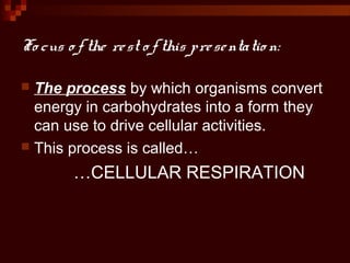 Fo cus o f the rest o f this presentatio n:
 The process by which organisms convert
energy in carbohydrates into a form they
can use to drive cellular activities.
 This process is called…
…CELLULAR RESPIRATION
 