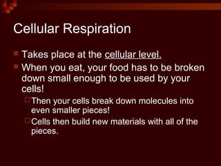 Cellular Respiration
 Takes place at the cellular level.
 When you eat, your food has to be broken
down small enough to be used by your
cells!
Then your cells break down molecules into
even smaller pieces!
Cells then build new materials with all of the
pieces.
 