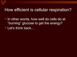 How efficient is cellular respiration?
 In other words, how well do cells do at
“burning” glucose to get the energy?
 Let’s think back…
 