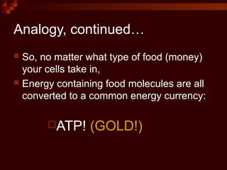 Analogy, continued…
 So, no matter what type of food (money)
your cells take in,
 Energy containing food molecules are all
converted to a common energy currency:
ATP! (GOLD!)
 