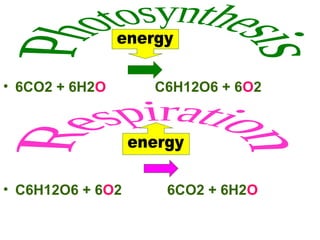 • 6CO2 + 6H2O C6H12O6 + 6O2
• C6H12O6 + 6O2 6CO2 + 6H2O
 