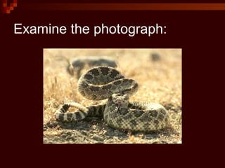 Examine the photograph:
 