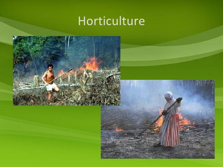 Getting food anthropology