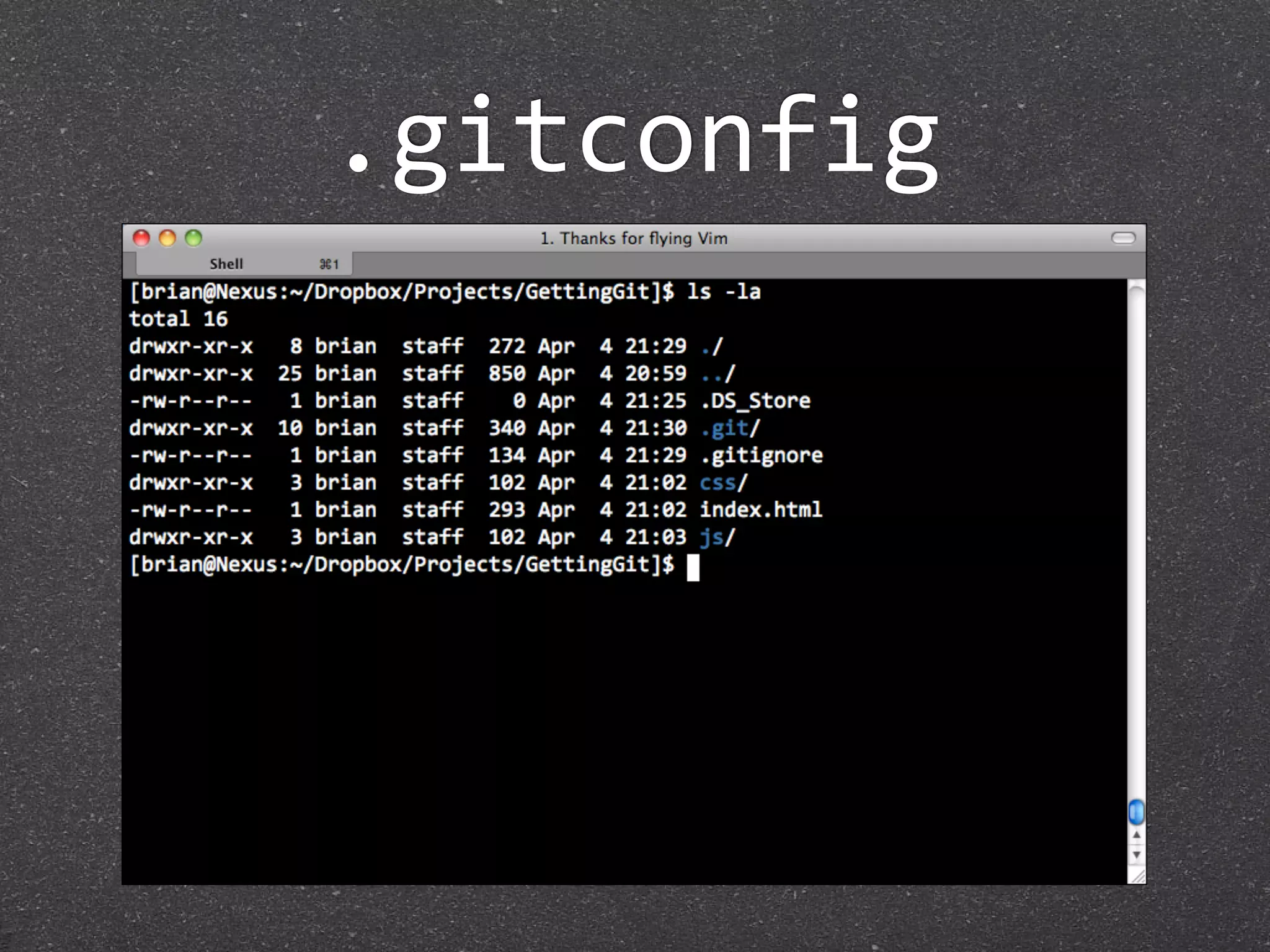.gitconfig
 