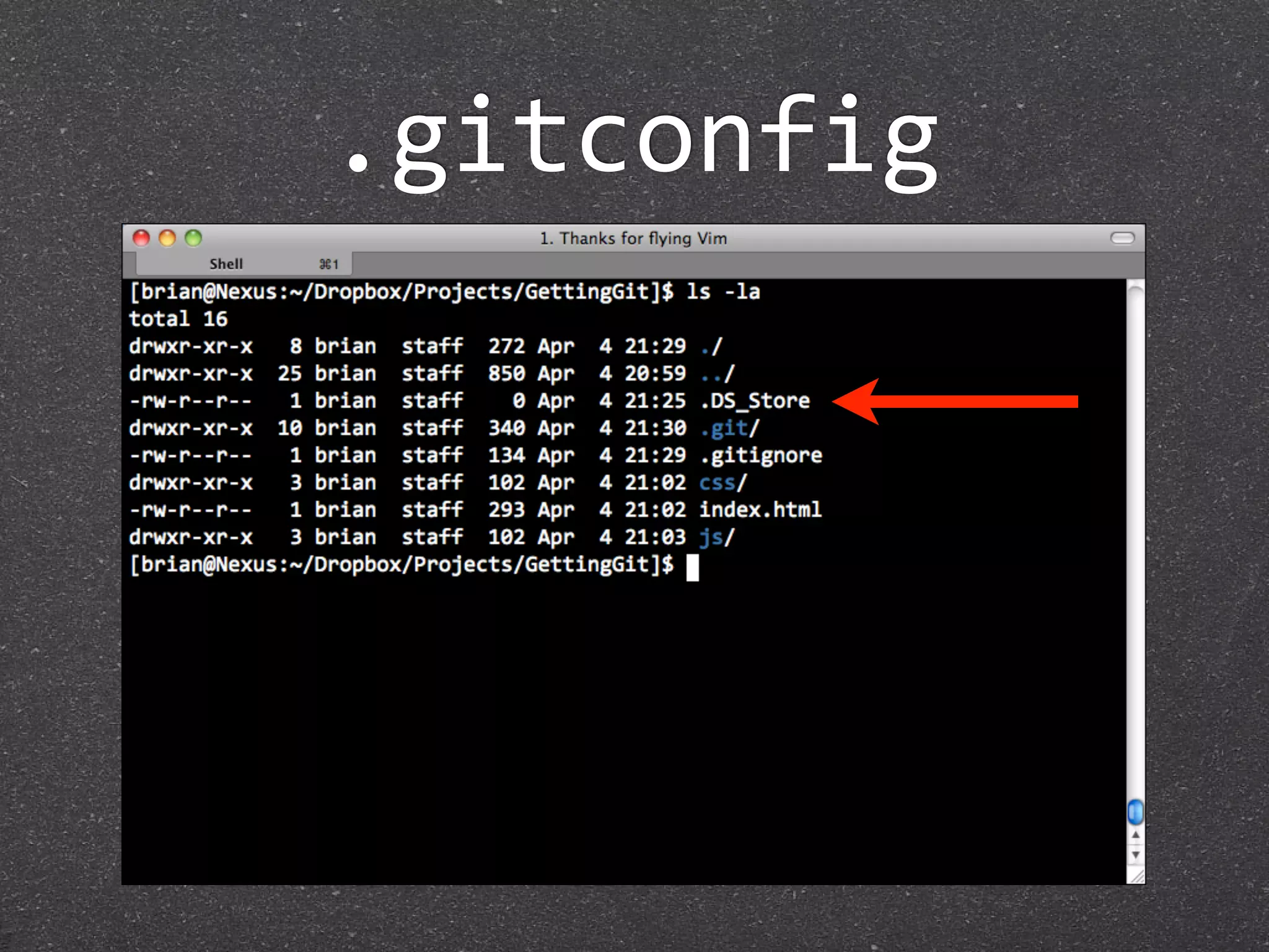 .gitconfig
 