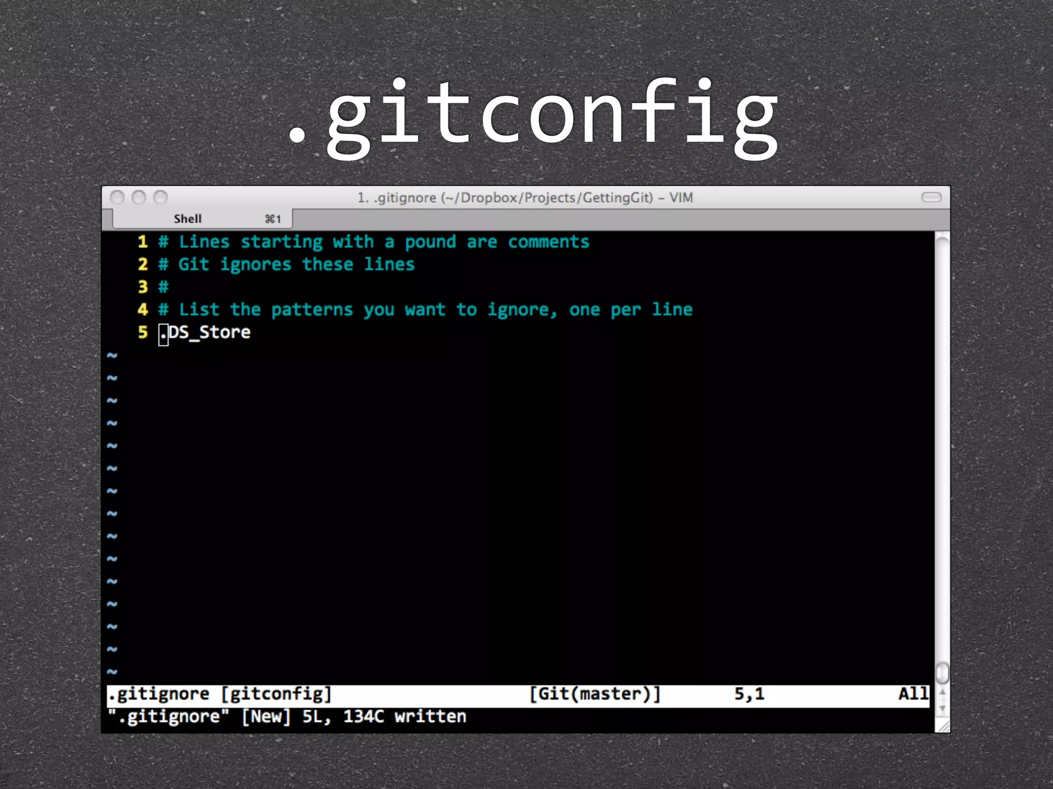 .gitconfig
 