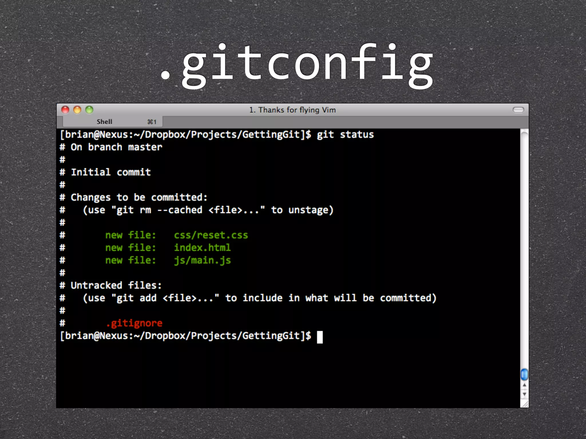 .gitconfig
 