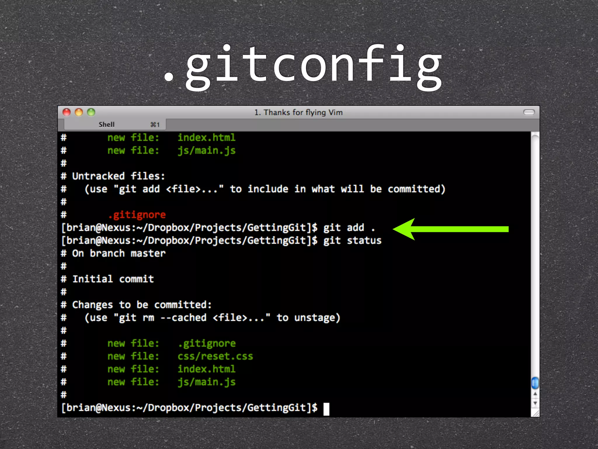 .gitconfig
 