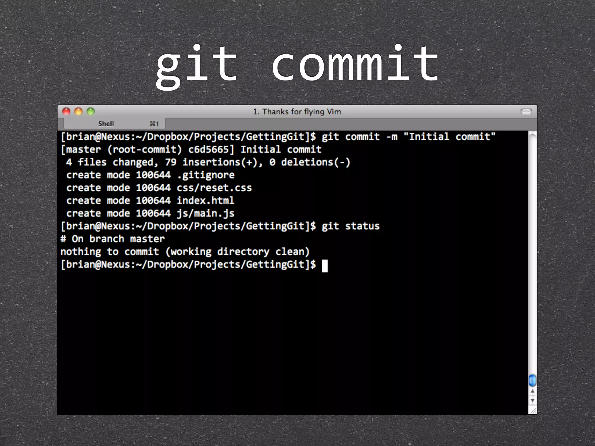 git commit
 