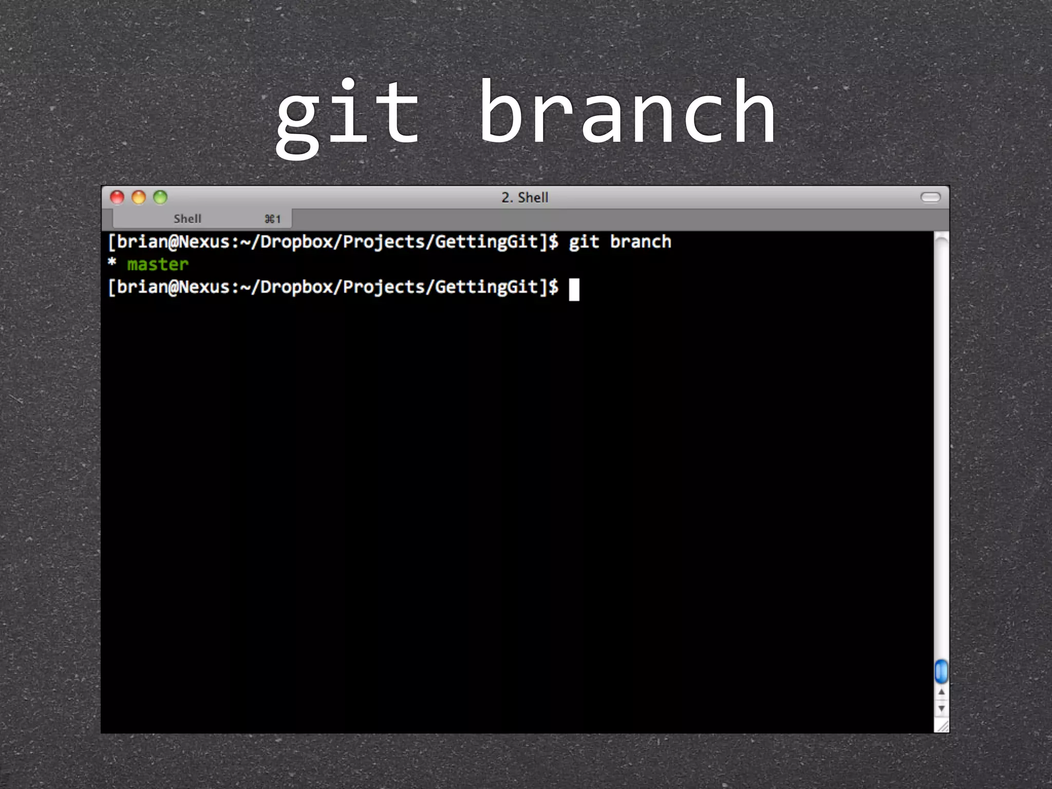 git branch
 