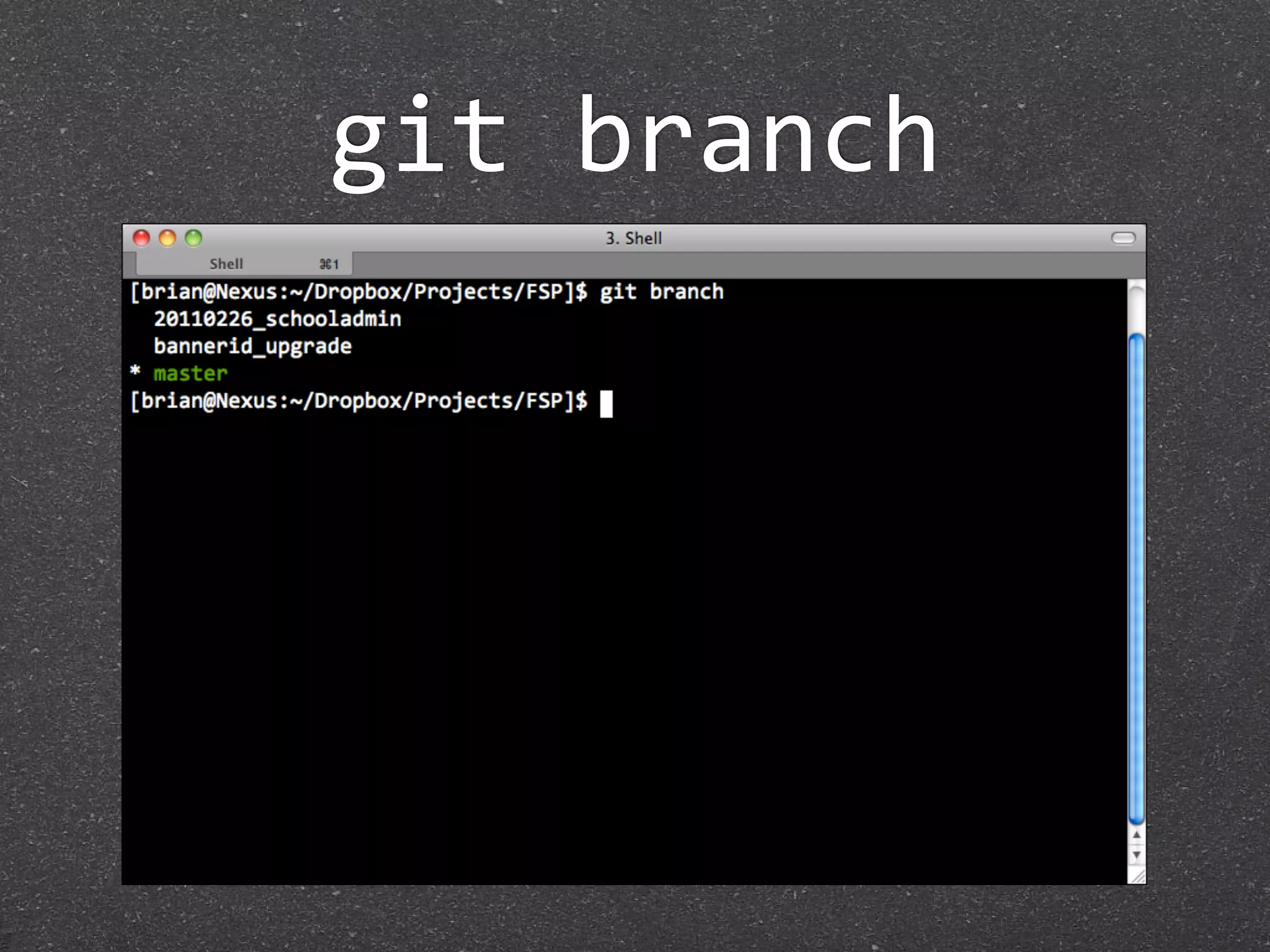 git branch
 