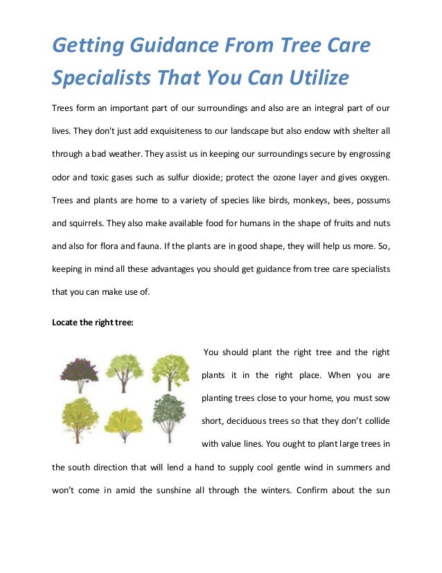 Getting guidance from tree care specialists that you can utilize