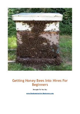 Getting Honey Bees Into Hives For
Beginners
Brought To You By:
www.Beekeeping-for-Beginners.com
 