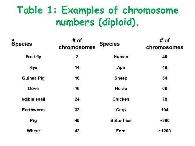 Getting into genes slideshare copy