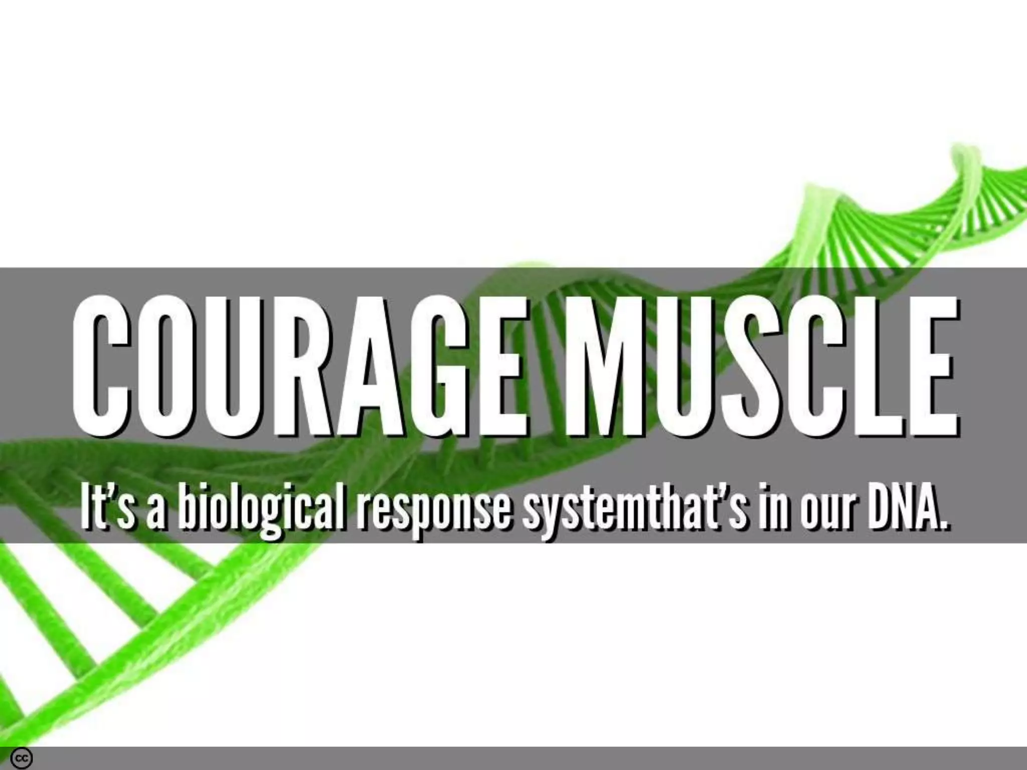 Photo by Be-Younger.com - Creative Commons Attribution-NonCommercial-ShareAlike License https://www.flickr.com/photos/92849383@N02 Created with Haiku Deck
 