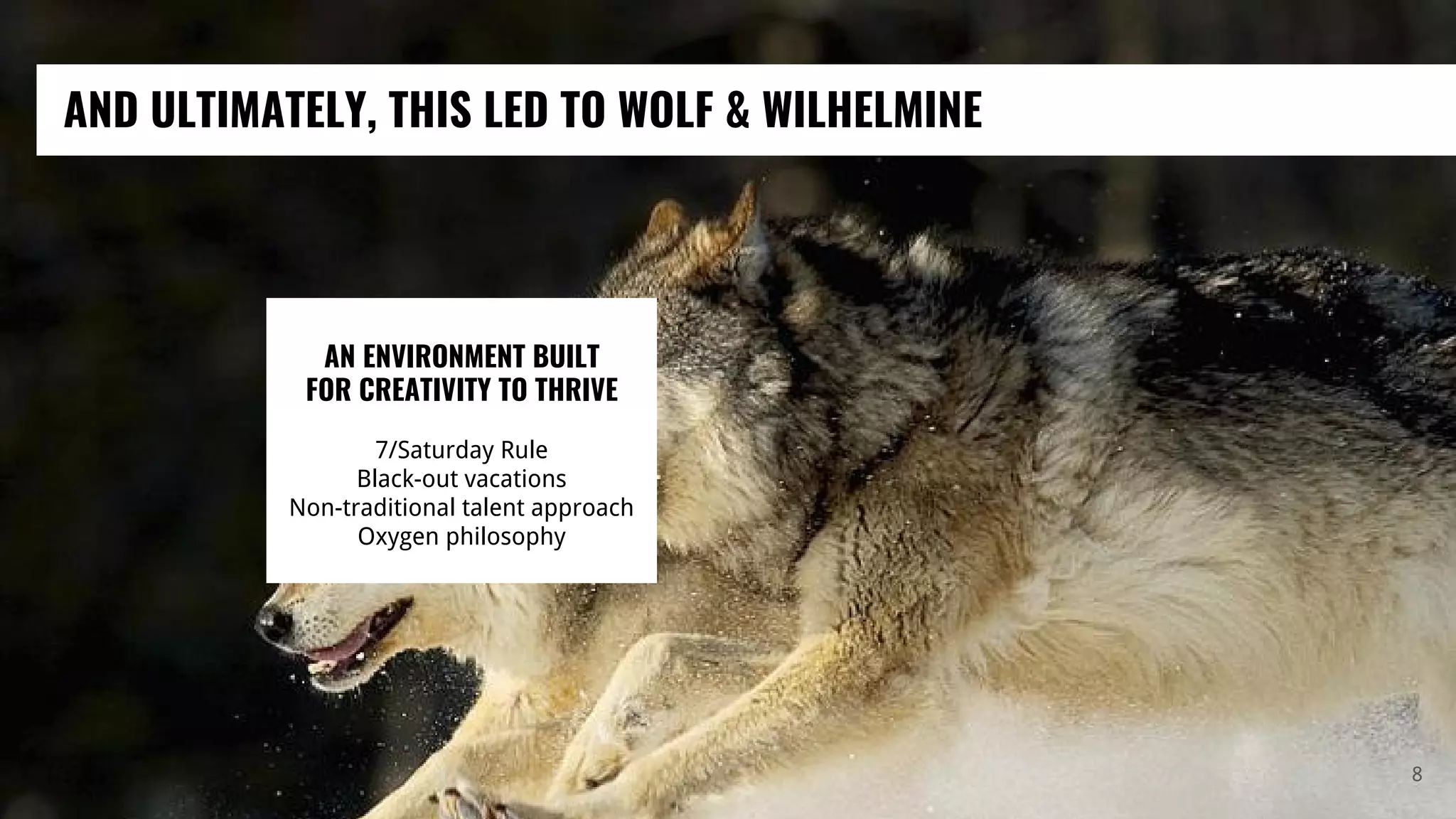 AND ULTIMATELY, THIS LED TO WOLF & WILHELMINE
8
AN ENVIRONMENT BUILT
FOR CREATIVITY TO THRIVE
7/Saturday Rule
Black-out vacations
Non-traditional talent approach
Oxygen philosophy
 