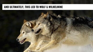 AND ULTIMATELY, THIS LED TO WOLF & WILHELMINE
7
 