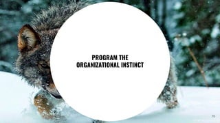 70
PROGRAM THE
ORGANIZATIONAL INSTINCT
 