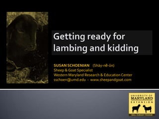 SUSAN SCHOENIAN (Shāy-nē-ŭn)
Sheep & Goat Specialist
Western Maryland Research & Education Center
sschoen@umd.edu - www.sheepandgoat.com
 