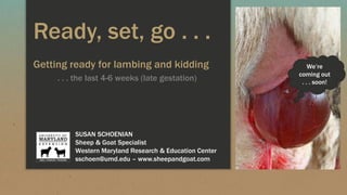 Ready, set, go . . .
Getting ready for lambing and kidding
. . . the last 4-6 weeks (late gestation)
SUSAN SCHOENIAN
Sheep & Goat Specialist
Western Maryland Research & Education Center
sschoen@umd.edu – www.sheepandgoat.com
We’re
coming out
. . . soon!
 