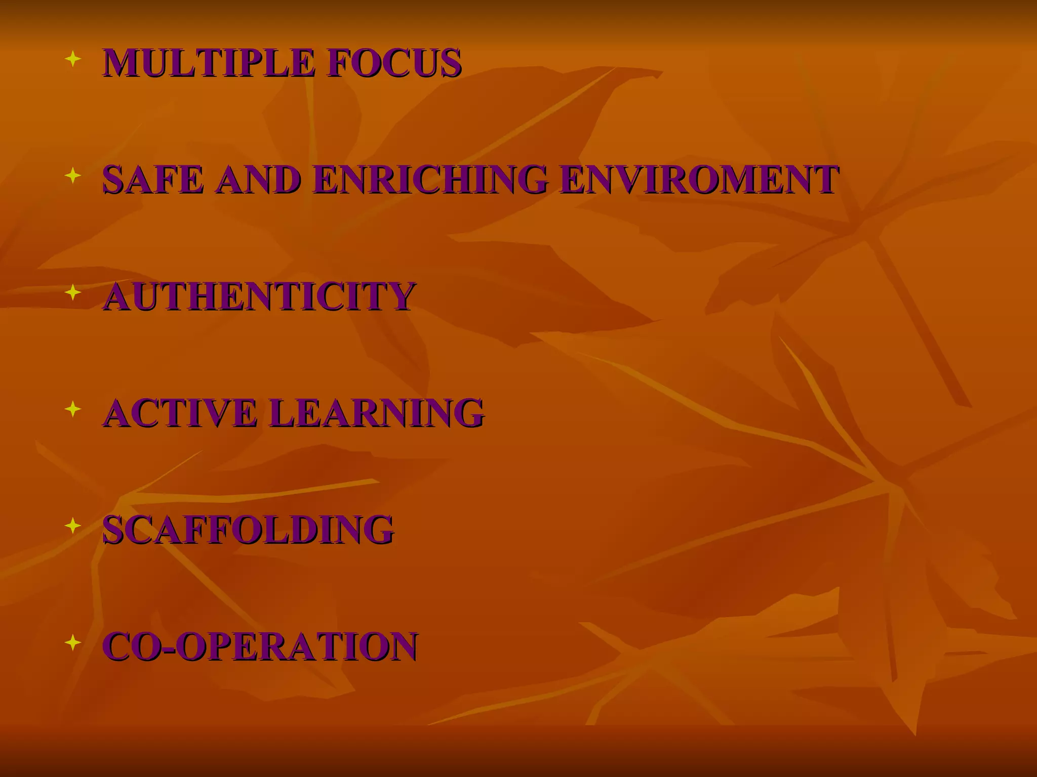 MULTIPLE FOCUS SAFE AND ENRICHING ENVIROMENT  AUTHENTICITY ACTIVE LEARNING  SCAFFOLDING CO-OPERATION 