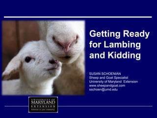 Getting Ready for Lambing and Kidding SUSAN SCHOENIANSheep and Goat SpecialistUniversity of Maryland  Extensionwww.sheepandgoat.comsschoen@umd.edu 