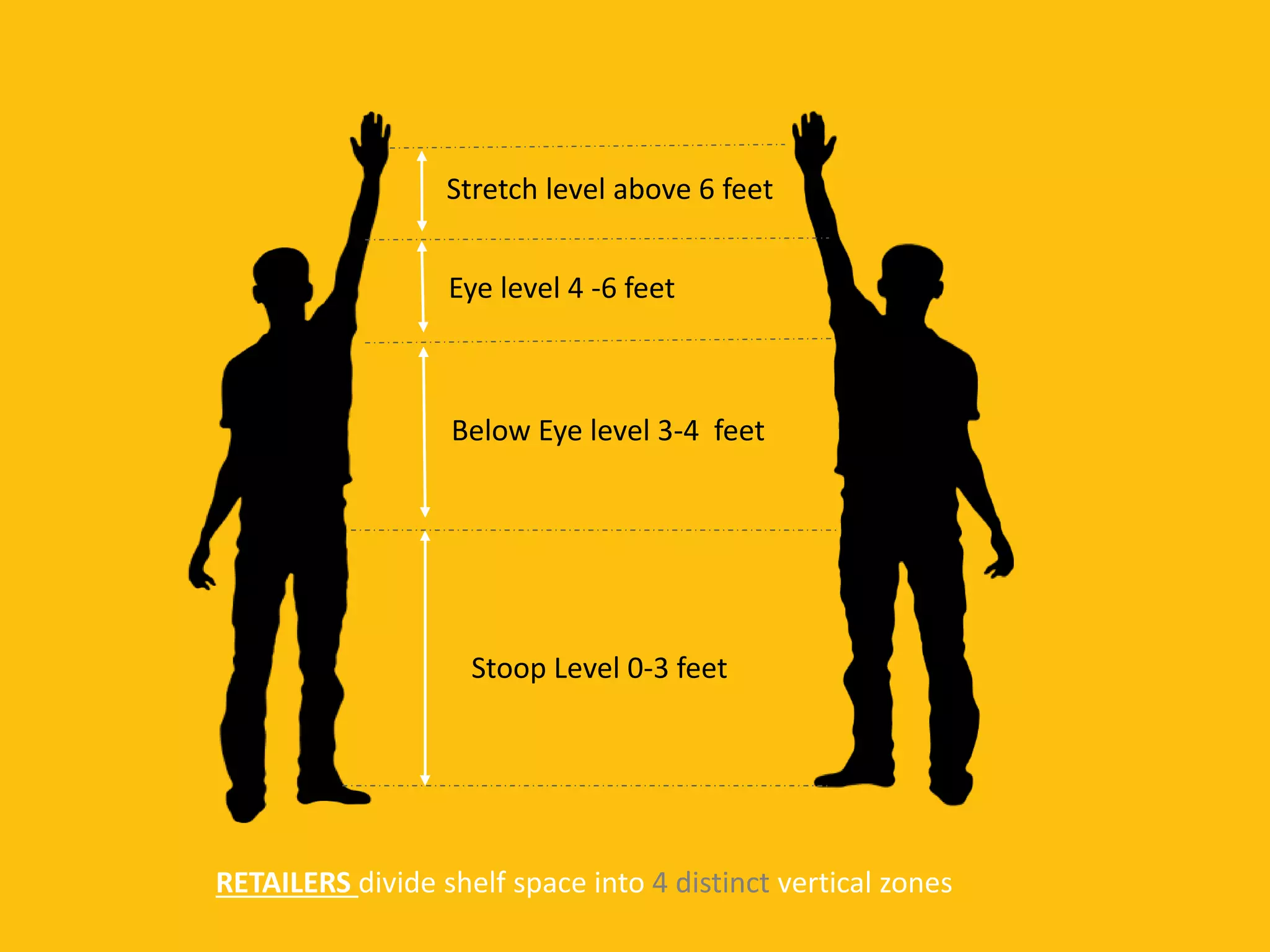 Stoop Level 0-3 feet
Below Eye level 3-4 feet
Eye level 4 -6 feet
Stretch level above 6 feet
RETAILERS divide shelf space into 4 distinct vertical zones
 