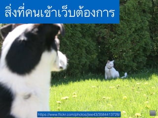www.sochiie.com/google-analytic/
สิ่งที่คนเข้าเว็บต้องการ
https://www.ﬂickr.com/photos/jlee43/3584413728/
 