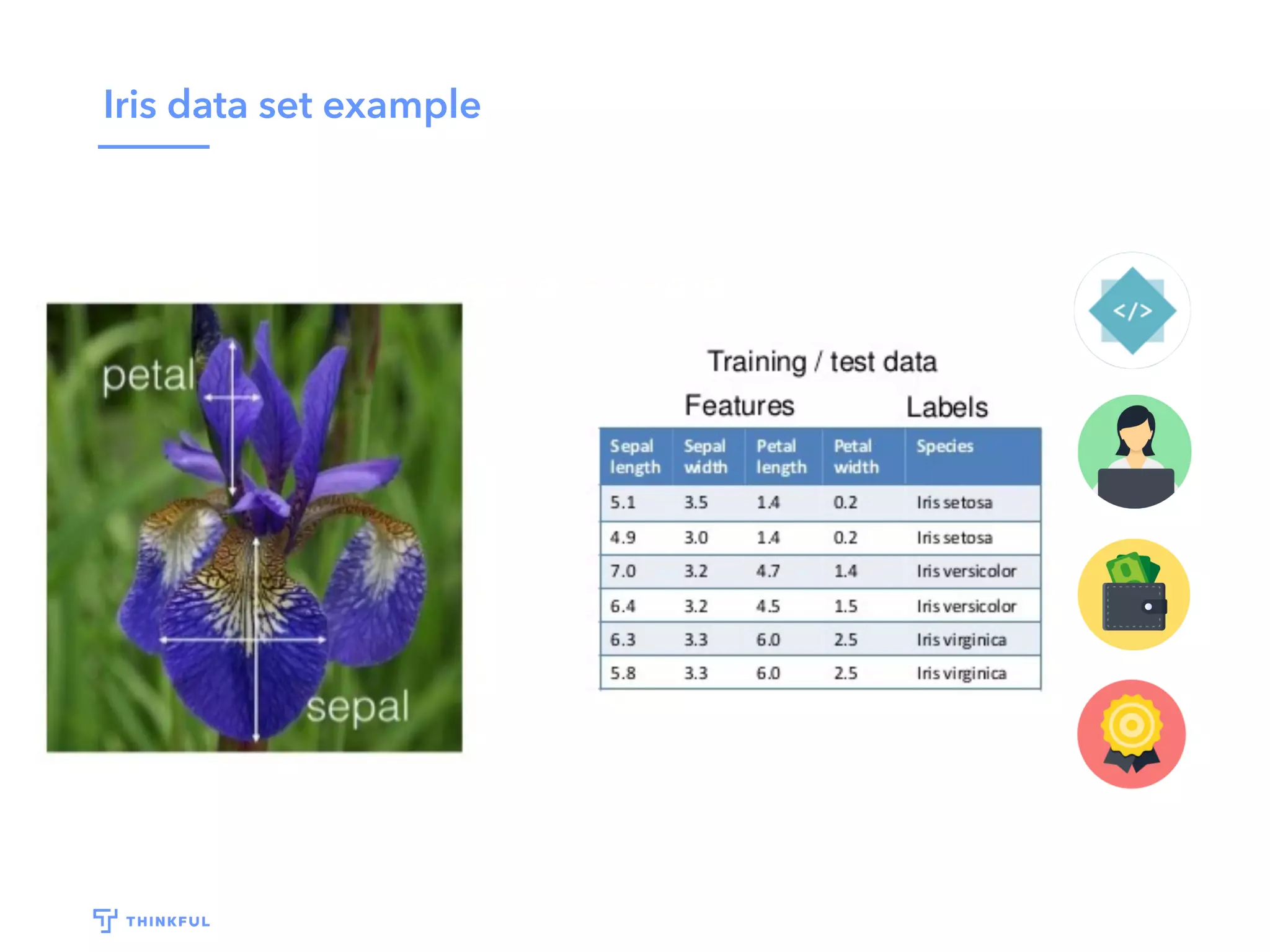 Iris data set example
 