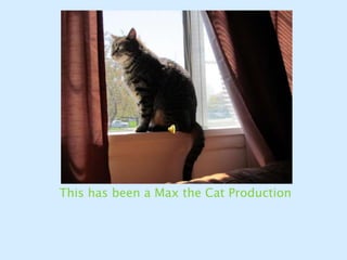 This has been a Max the Cat Production