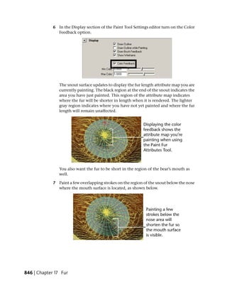 6 In the Display section of the Paint Tool Settings editor turn on the Color
               Feedback option.




                The snout surface updates to display the fur length attribute map you are
                currently painting. The black region at the end of the snout indicates the
                area you have just painted. This region of the attribute map indicates
                where the fur will be shorter in length when it is rendered. The lighter
                gray region indicates where you have not yet painted and where the fur
                length will remain unaffected.




                You also want the fur to be short in the region of the bear’s mouth as
                well.

             7 Paint a few overlapping strokes on the region of the snout below the nose
               where the mouth surface is located, as shown below.




846 | Chapter 17 Fur
 