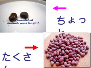 たくさん ちょっと 