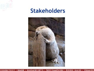 Stakeholders 