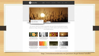 http://www.themesandmods.com/premium-drupal-themes/sencillo/
 