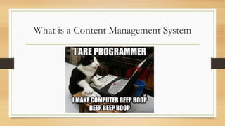 What is a Content Management System
 