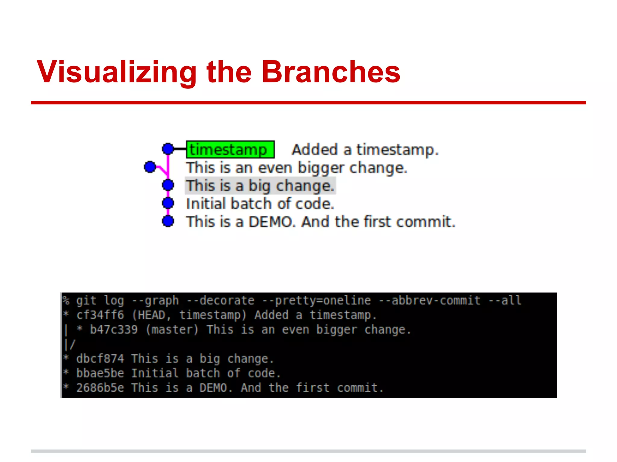Visualizing the Branches
 