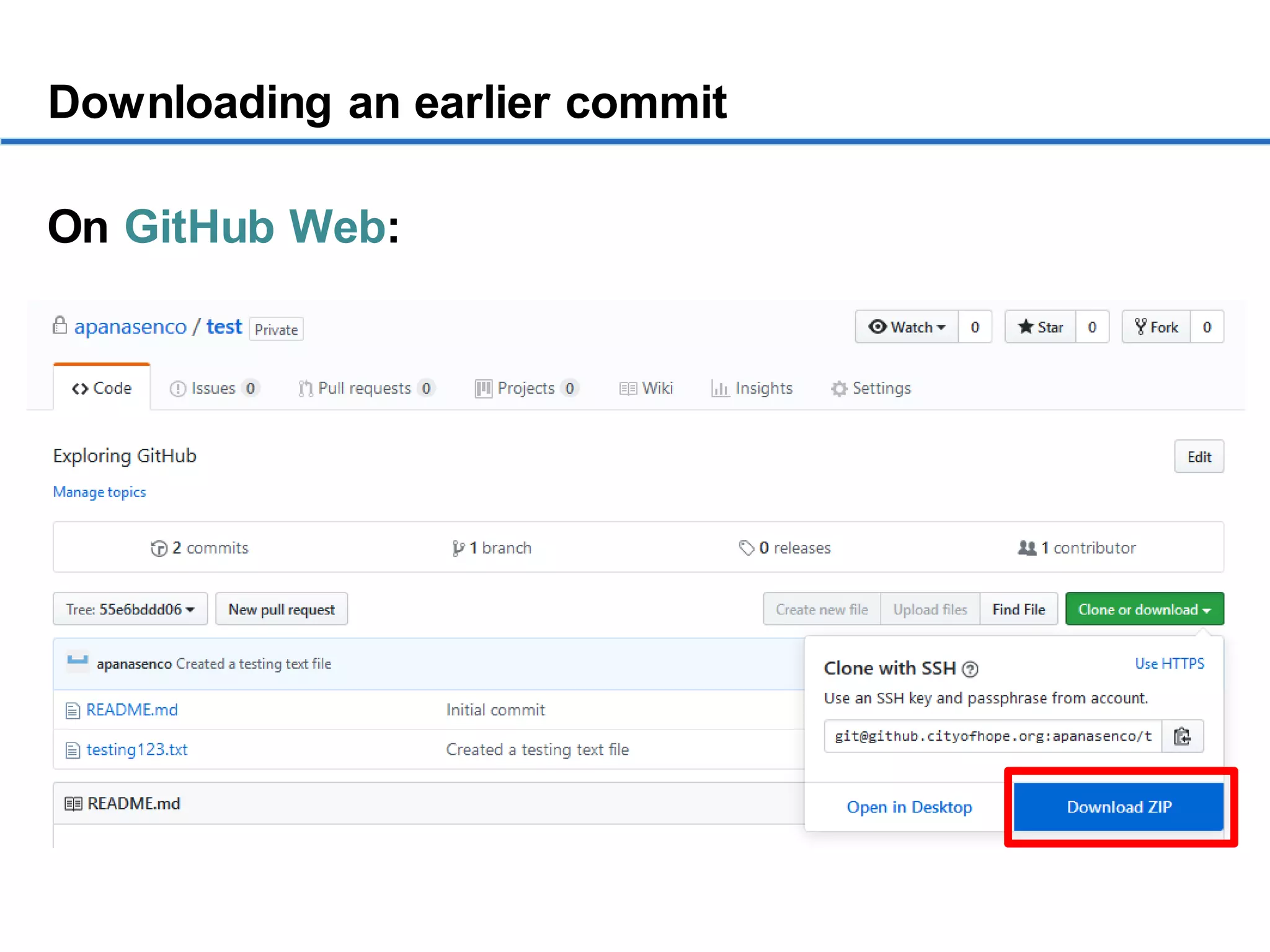 Getting started with GitHub Desktop | PDF