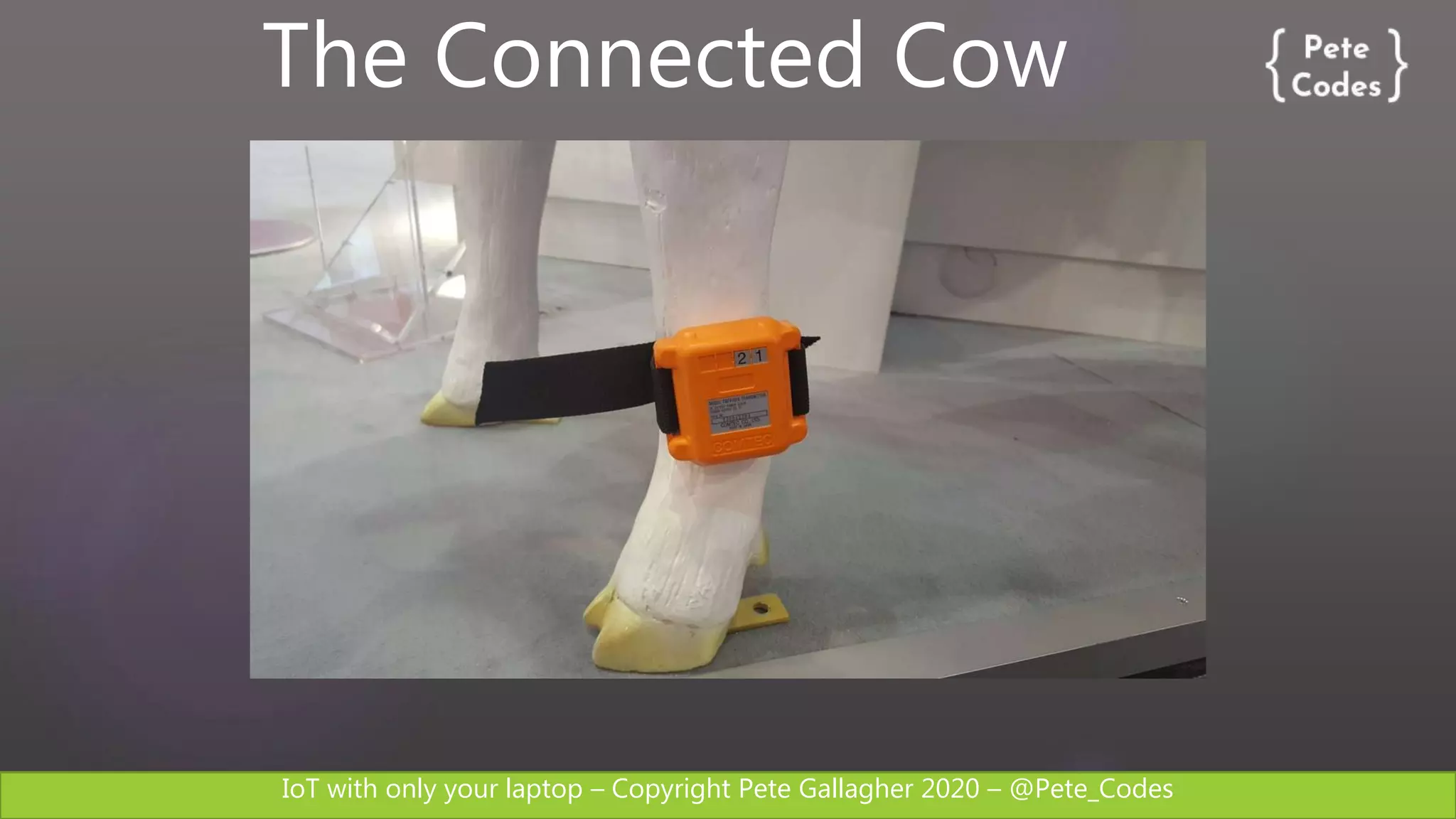 IoT with only your laptop – Copyright Pete Gallagher 2020 – @Pete_Codes
The Connected Cow
 
