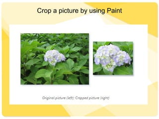 Crop a picture by using Paint
 