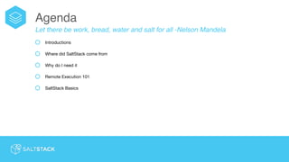 Getting started with salt stack | PDF