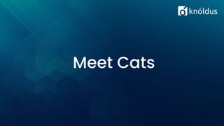 Meet Cats
 