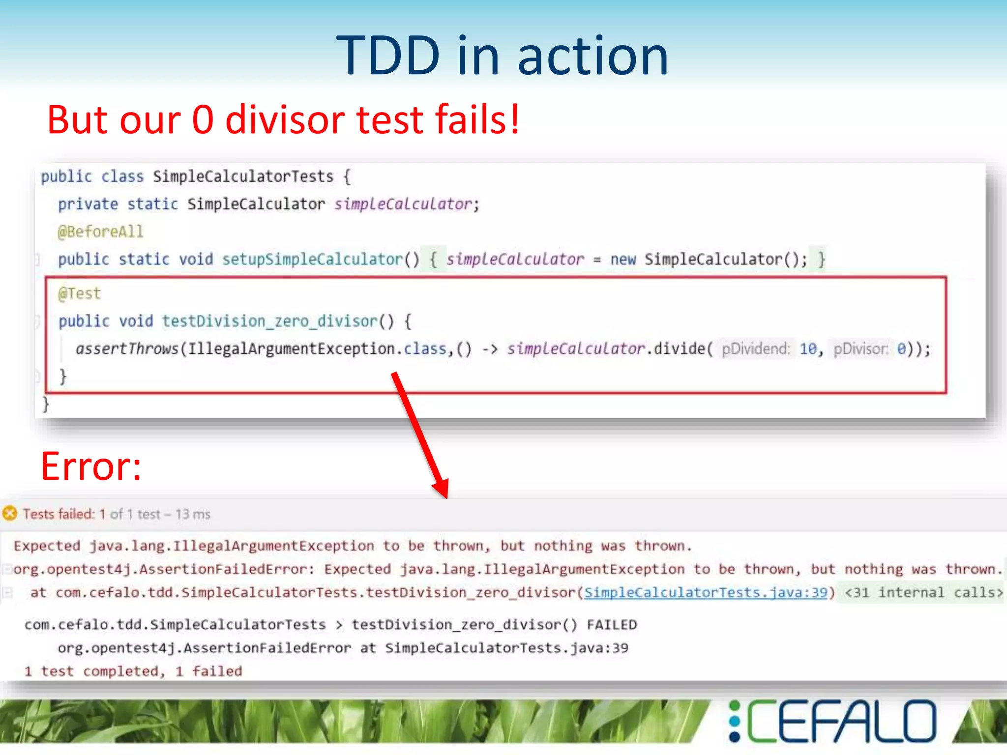 TDD in action But our 0 divisor test fails! Error: 